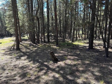This flat lot near the golf course on a quiet curve is the on Angel Fire Resort Country Club in New Mexico - for sale on GolfHomes.com, golf home, golf lot