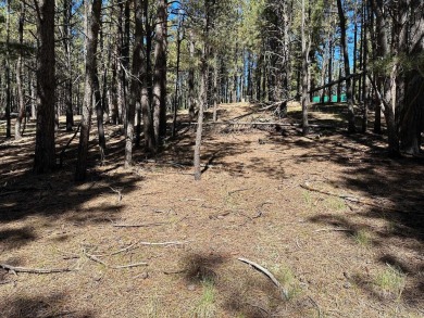 This flat lot near the golf course on a quiet curve is the on Angel Fire Resort Country Club in New Mexico - for sale on GolfHomes.com, golf home, golf lot
