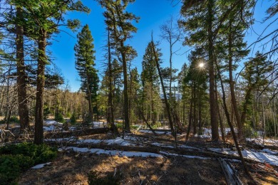 Enjoy the serenity of this wooded lot with a nice mix of on Angel Fire Resort Country Club in New Mexico - for sale on GolfHomes.com, golf home, golf lot