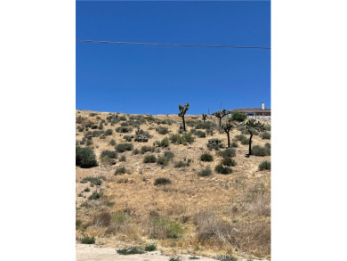 Beautiful Hillside Lot Overlooking Hesperia Golf Course in The on Hesperia Golf and Country Club in California - for sale on GolfHomes.com, golf home, golf lot