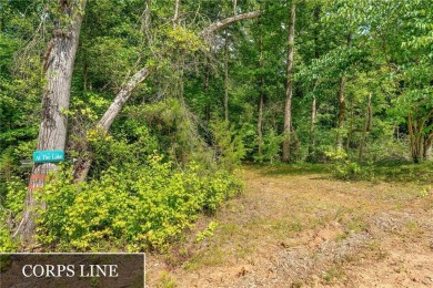 DO WHAT YOU LOVE, LIVE WHERE YOU LOVE DOING IT with this Lake on Fox Wood Hills Golf Course in South Carolina - for sale on GolfHomes.com, golf home, golf lot