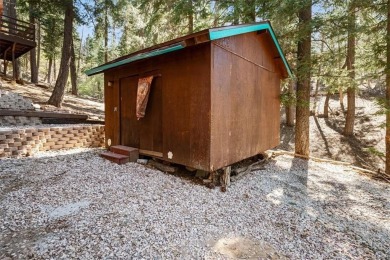 Fully Renovated Moonridge Cabin - Stylish, Turnkey  Adjacent to on Big Bear Mountain Ski and Golf Resort in California - for sale on GolfHomes.com, golf home, golf lot