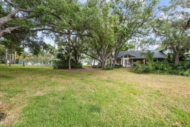 BEAUTIFUL SECLUDED WOODRIDGE GREEN VILLA in prestigious East on East Lake Woodlands Country Club in Florida - for sale on GolfHomes.com, golf home, golf lot