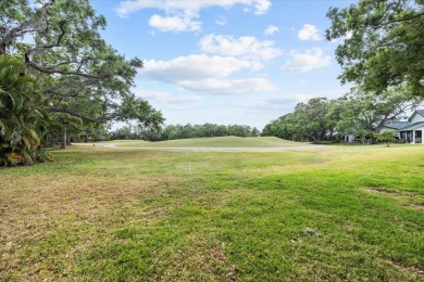 BEAUTIFUL SECLUDED WOODRIDGE GREEN VILLA in prestigious East on East Lake Woodlands Country Club in Florida - for sale on GolfHomes.com, golf home, golf lot