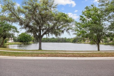 BEAUTIFUL SECLUDED WOODRIDGE GREEN VILLA in prestigious East on East Lake Woodlands Country Club in Florida - for sale on GolfHomes.com, golf home, golf lot