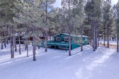 OPEN HOUSE Sunday, January 19th 11am - 12:30pm - public and on Angel Fire Resort Country Club in New Mexico - for sale on GolfHomes.com, golf home, golf lot