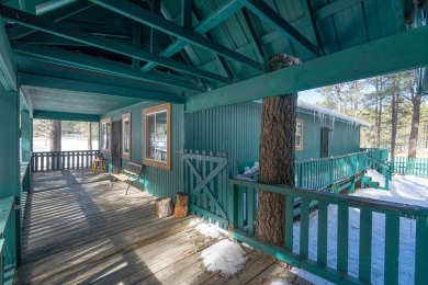 OPEN HOUSE Sunday, January 19th 11am - 12:30pm - public and on Angel Fire Resort Country Club in New Mexico - for sale on GolfHomes.com, golf home, golf lot