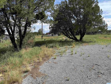 Here's an investment opportunity that could really turn out well on Silver City Golf Course in New Mexico - for sale on GolfHomes.com, golf home, golf lot