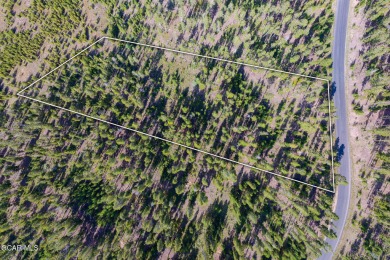 This gentle downsloping lot in the Fairways has 2.25 acres with on Pole Creek Golf Club in Colorado - for sale on GolfHomes.com, golf home, golf lot