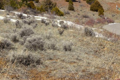 Rebecca Tatum, Sherpa Real Estate, C: , becky,  : Beautiful lot on Rio Grande Golf Club in Colorado - for sale on GolfHomes.com, golf home, golf lot