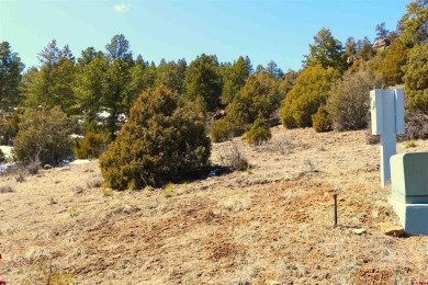 Rebecca Tatum, Sherpa Real Estate, C: , becky,  : Beautiful lot on Rio Grande Golf Club in Colorado - for sale on GolfHomes.com, golf home, golf lot