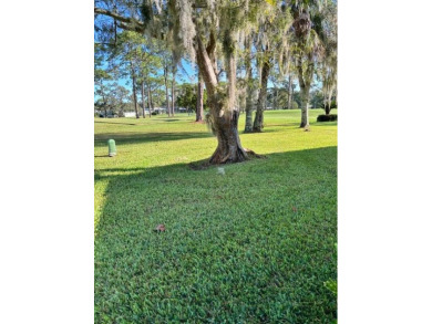 Great Opportunity in this Premier Ocala 55+ Community! Gorgeous on Rolling Greens Executive Golf Community in Florida - for sale on GolfHomes.com, golf home, golf lot