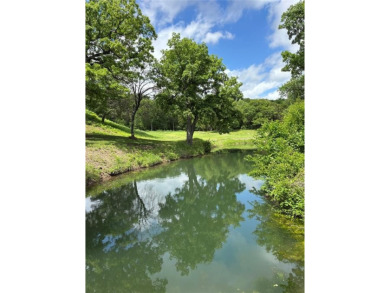 *OWNER FINANCING AVAILABLE, CALL LISTING AGENT FOR FINANCING on The Retreat in Texas - for sale on GolfHomes.com, golf home, golf lot