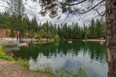 Have you ever seen a mountain cabin with a level driveway and a on Sequoia Woods Country Club in California - for sale on GolfHomes.com, golf home, golf lot