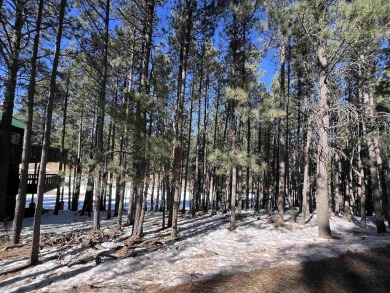 Easy to access, and conveniently located near the Angel Fire on Angel Fire Resort Country Club in New Mexico - for sale on GolfHomes.com, golf home, golf lot