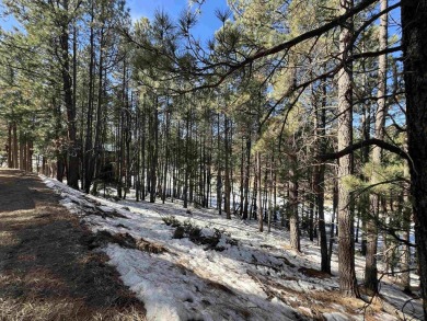 Easy to access, and conveniently located near the Angel Fire on Angel Fire Resort Country Club in New Mexico - for sale on GolfHomes.com, golf home, golf lot