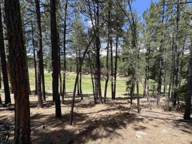 Easy to access, and conveniently located near the Angel Fire on Angel Fire Resort Country Club in New Mexico - for sale on GolfHomes.com, golf home, golf lot
