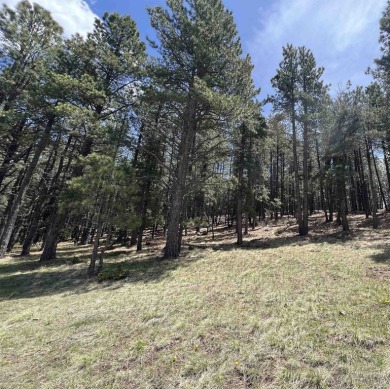 Easy to access, and conveniently located near the Angel Fire on Angel Fire Resort Country Club in New Mexico - for sale on GolfHomes.com, golf home, golf lot