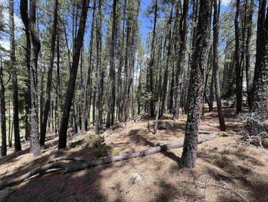 Easy to access, and conveniently located near the Angel Fire on Angel Fire Resort Country Club in New Mexico - for sale on GolfHomes.com, golf home, golf lot