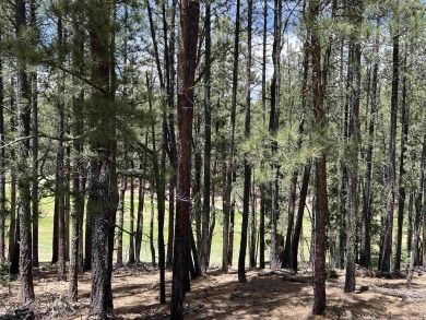 Easy to access, and conveniently located near the Angel Fire on Angel Fire Resort Country Club in New Mexico - for sale on GolfHomes.com, golf home, golf lot