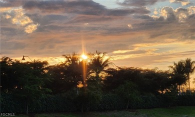 AMAZING SUNSET at the end of a quiet cul-de-sac in Arborwood on Gateway Golf and Country Club in Florida - for sale on GolfHomes.com, golf home, golf lot