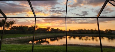 AMAZING SUNSET at the end of a quiet cul-de-sac in Arborwood on Gateway Golf and Country Club in Florida - for sale on GolfHomes.com, golf home, golf lot