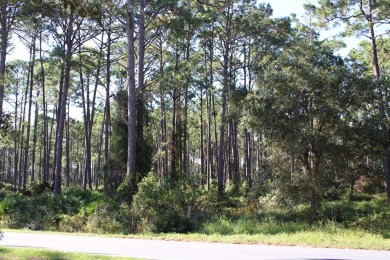 This wooded lot is just over 1/3 of an acre located on the north on St. James Bay in Florida - for sale on GolfHomes.com, golf home, golf lot