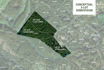 Conceptual 3 lot subdivision at the top of the Bernardsville on Roxiticus Golf Club in New Jersey - for sale on GolfHomes.com, golf home, golf lot