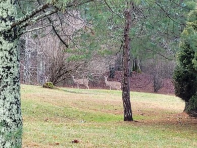 Welcome to your serene retreat at 372 Schuirman Rd, nestled near on Valley View Country Club, Inc. in West Virginia - for sale on GolfHomes.com, golf home, golf lot