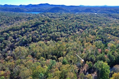 Welcome to 110 Buttercup Way in the gated, Lake Keowee community on The Cliffs At Keowee Vineyards Golf Club in South Carolina - for sale on GolfHomes.com, golf home, golf lot