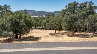 Premium lot in a prime location. This property is 0.36 acres on Greenhorn Creek Resort in California - for sale on GolfHomes.com, golf home, golf lot