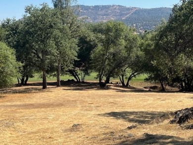 Premium lot in a prime location. This property is 0.36 acres on Greenhorn Creek Resort in California - for sale on GolfHomes.com, golf home, golf lot