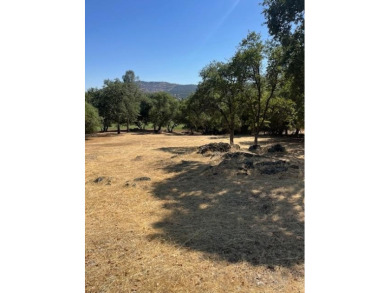 Premium lot in a prime location. This property is 0.36 acres on Greenhorn Creek Resort in California - for sale on GolfHomes.com, golf home, golf lot