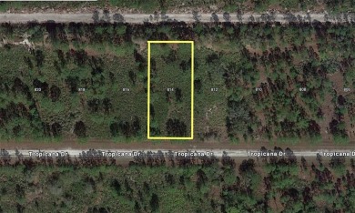 Come build your forever home on this one-half acre lot located on Indian Lake Estates Golf and Country Club in Florida - for sale on GolfHomes.com, golf home, golf lot