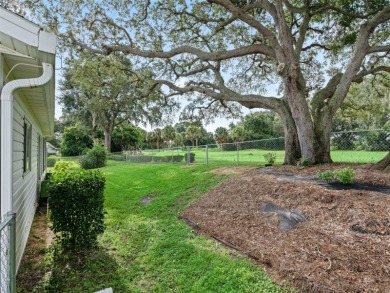 Welcome home to Central Florida, Stunning Views  Serene Privacy on The Links of Spruce Creek in Florida - for sale on GolfHomes.com, golf home, golf lot
