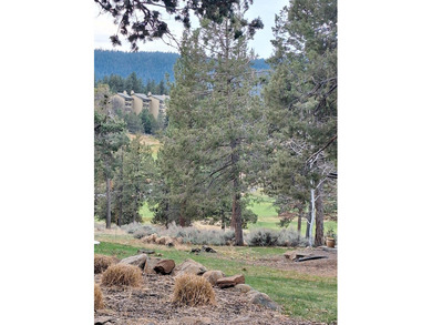 Build your new home at the Running Y Resort Community!  .51 Acre on Running Y Ranch Resort in Oregon - for sale on GolfHomes.com, golf home, golf lot