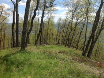 Offering a premier mountain top view, this homesite has panorama on Greenbrier Sporting Club in West Virginia - for sale on GolfHomes.com, golf home, golf lot