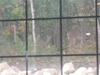 MORE PHOTOS COMING.  Discover this beautifully designed on The Jewel Golf Club in Minnesota - for sale on GolfHomes.com, golf home, golf lot