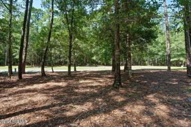Premier Homesite in Rivers Edge Golf Community

Discover an on Rivers Edge Golf Club in North Carolina - for sale on GolfHomes.com, golf home, golf lot
