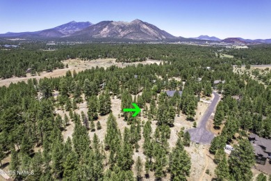 Saddle Up for Serenity in Lakeside Acres in the Country Club on Aspen Valley Golf Club in Arizona - for sale on GolfHomes.com, golf home, golf lot