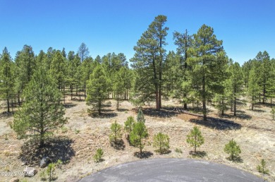 Saddle Up for Serenity in Lakeside Acres in the Country Club on Aspen Valley Golf Club in Arizona - for sale on GolfHomes.com, golf home, golf lot