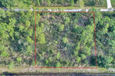 Nice size  residential vacant lot (0.50 acre) in the community on Indian Lake Estates Golf and Country Club in Florida - for sale on GolfHomes.com, golf home, golf lot