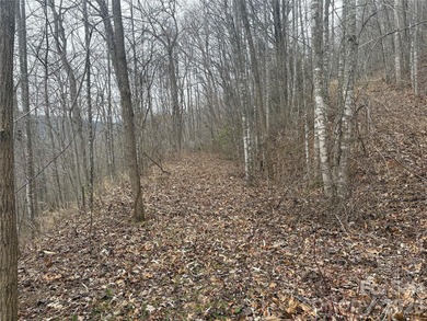 Welcome to Smoky Mountain Country Club off of Conley's Creek rd on Smoky Mountain Country Club in North Carolina - for sale on GolfHomes.com, golf home, golf lot