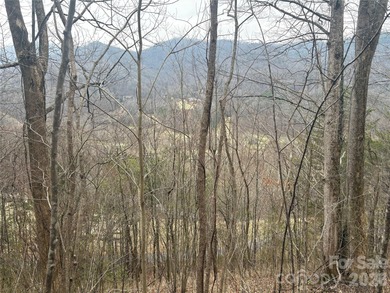 Welcome to Smoky Mountain Country Club off of Conley's Creek rd on Smoky Mountain Country Club in North Carolina - for sale on GolfHomes.com, golf home, golf lot