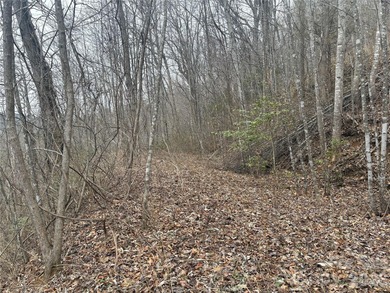 Welcome to Smoky Mountain Country Club off of Conley's Creek rd on Smoky Mountain Country Club in North Carolina - for sale on GolfHomes.com, golf home, golf lot