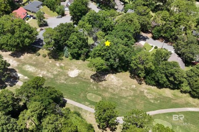 Welcome home to your beautiful golf course view retreat in on Lake Forest Yacht and Country Club in Alabama - for sale on GolfHomes.com, golf home, golf lot