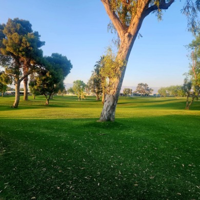 On the Golf Course with Panoramic Views! Nestled in the heart of on Palm Desert Greens Country Club in California - for sale on GolfHomes.com, golf home, golf lot