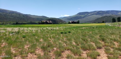 Over 1/2 acre lot backing to the golf course with great southern on  in Colorado - for sale on GolfHomes.com, golf home, golf lot
