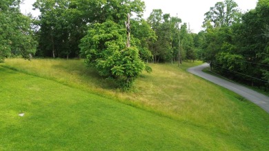 Spectacular 1-Acre Lakeview Building Lot on Herrington Lake on Peninsula Golf Resort in Kentucky - for sale on GolfHomes.com, golf home, golf lot
