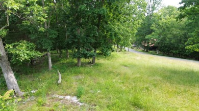 Spectacular 1-Acre Lakeview Building Lot on Herrington Lake on Peninsula Golf Resort in Kentucky - for sale on GolfHomes.com, golf home, golf lot